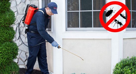 Kale Dezenfeksiyon böcek ilaçlama ve haşere kontrolü — ilaclama-tr.com